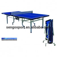 2020 New design blue color folded portable pong table