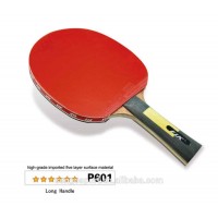 Easy to use and affordable ping pong racket 6 star